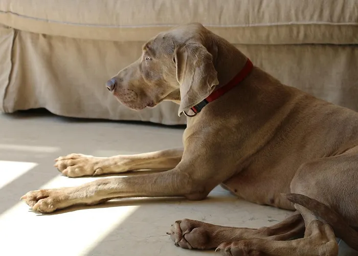 Rambaldi Casa Nr 5 Bardolino